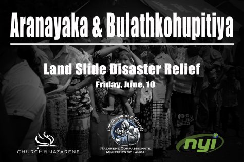 Landslide limousines performance management framework essay 08 image